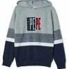 Pepe Jeans REMY - Sweat à Capuche - Grey