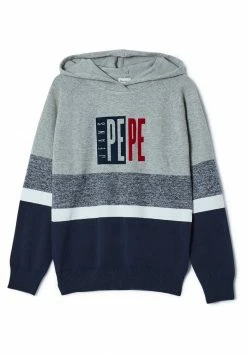 Pepe Jeans REMY - Sweat à Capuche - Grey