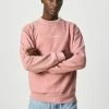 Pepe Jeans DAVID - Sweatshirt - Claret