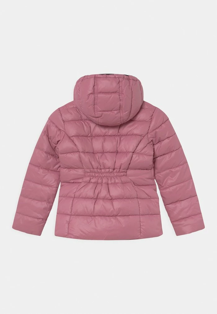 Pepe Jeans CARMEN - Veste D'hiver - Washed Berry 2 Pepe Jeans CARMEN - Veste D'hiver - Washed Berry – Image 2